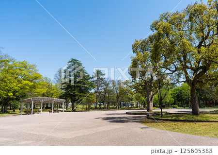 晴れの青空といしかわ四高記念公園｜公園イメージ｜石川県金沢市 125605388