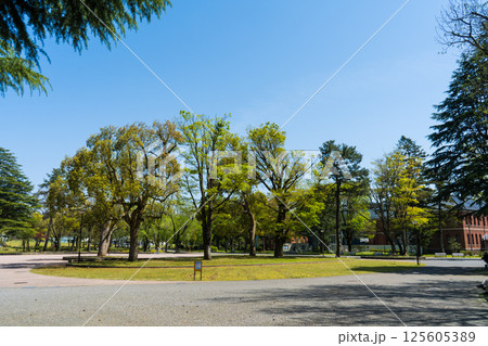 晴れの青空といしかわ四高記念公園|公園イメージ|石川県金沢市 晴れの青空といしかわ四高記念公園|公園イメージ|石川県金沢市 125605389