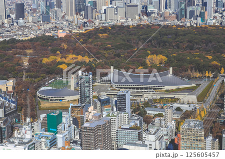 Dec 10 2024 Aerial View of Modern Cityscape with Stadium, Tokyo 125605457