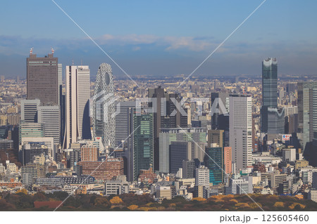 Urban Skyline of Tokyo City With Modern Skyscrapers, Tokyo Dec 10 2024 125605460