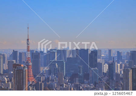 Tokyo Skyline View Featuring Iconic Tower Under Clear Dec 10 2024 125605467