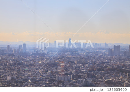 Urban Cityscape with Skyscrapers and Distant Mountains, Tokyo Dec 10 2024 125605490