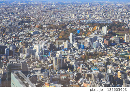 View of Dense Urban Landscape with High Rise, Tokyo Dec 10 2024 View of Dense Urban Landscape with High Rise, Tokyo Dec 10 2024 125605498