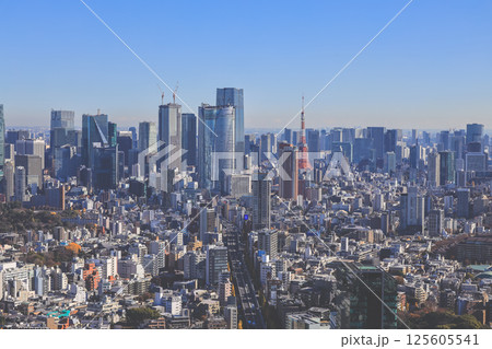 Dec 10 2024 Tokyo City Skyline Featuring Tokyo Tower and Surrounding 125605541