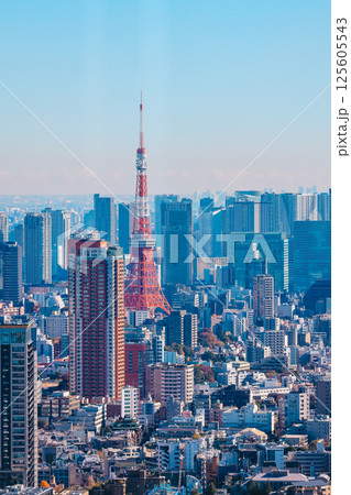 Dec 10 2024 Tokyo City Skyline Featuring Tokyo Tower and Surrounding Dec 10 2024 Tokyo City Skyline Featuring Tokyo Tower and Surrounding 125605543