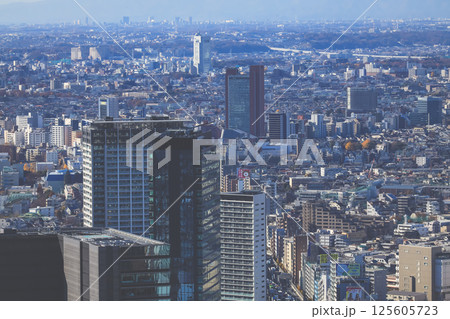 Urban Skyline With Tall Building and Mountain Backdrop, Tokyo Dec 10 2024 Urban Skyline With Tall Building and Mountain Backdrop, Tokyo Dec 10 2024 125605723