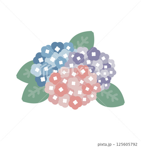 紫陽花 梅雨 イラスト 紫陽花 梅雨 イラスト 125605792