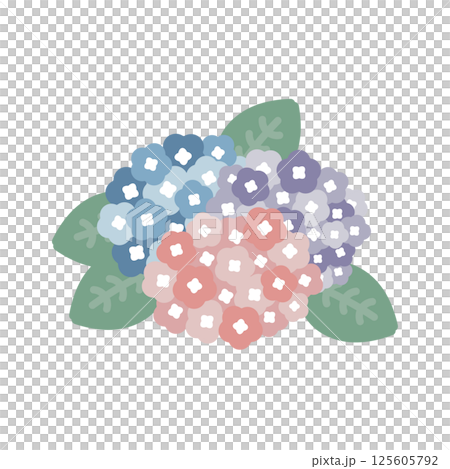 紫陽花 梅雨 イラスト 紫陽花 梅雨 イラスト 125605792