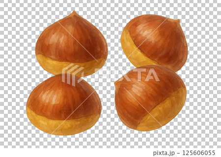 リアルな栗のイラスト・秋の味覚や食材イメージに 125606055