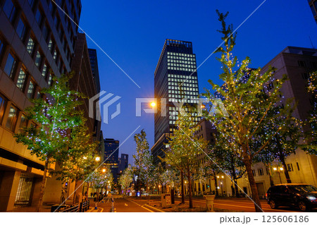 イルミネーションに輝く大阪御堂筋の夜 125606186