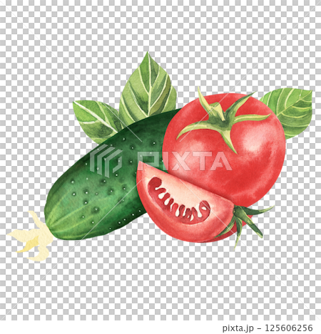 Fresh vegetables. Tomato with cucumber, basil leaf and greenery. Hand drawn watercolor illustration, isolated on white background. For restaurant, market, kitchen , decoration, stickers, books Fresh vegetables. Tomato with cucumber, basil leaf and greenery. Hand drawn watercolor illustration, isolated on white background. For restaurant, market, kitchen , decoration, stickers, books 125606256