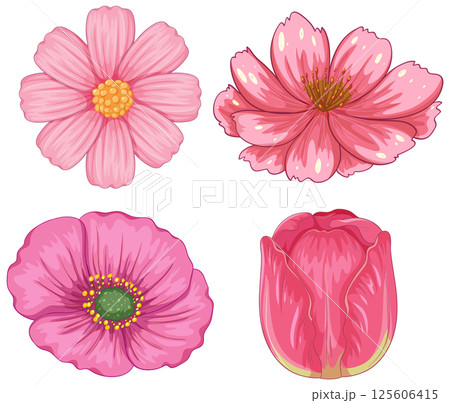 Elegant Pink Floral Vector Illustration Set Elegant Pink Floral Vector Illustration Set 125606415