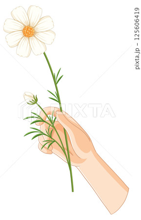 Hand Holding Delicate White Flower Illustration Hand Holding Delicate White Flower Illustration 125606419