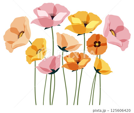 Vibrant Floral Vector with Colorful Poppies Vibrant Floral Vector with Colorful Poppies 125606420