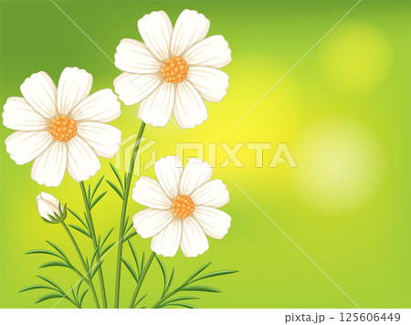 Elegant White Flowers on a Vibrant Green Background Elegant White Flowers on a Vibrant Green Background 125606449
