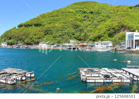 【愛媛県】 足摺宇和海国立公園 宇和海 津島町 【愛媛県】 足摺宇和海国立公園 宇和海 津島町 125606501