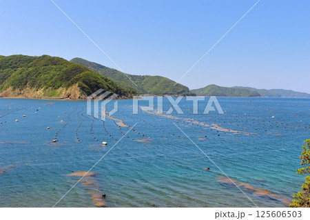 【愛媛県】　足摺宇和海国立公園　宇和海　真珠養殖 125606503