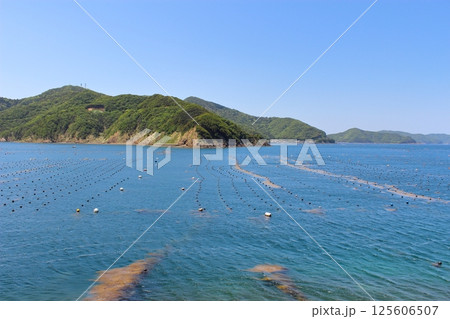 【愛媛県】　足摺宇和海国立公園　宇和海　真珠養殖 125606507