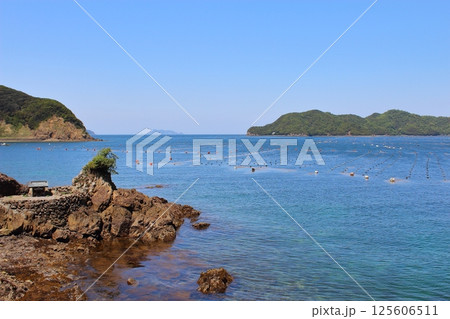 【愛媛県】　足摺宇和海国立公園　宇和海　真珠養殖 125606511