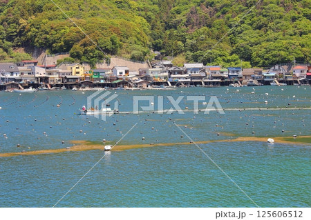 【愛媛県】　足摺宇和海国立公園　宇和海　真珠養殖 125606512