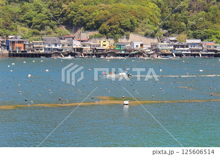 【愛媛県】　足摺宇和海国立公園　宇和海　真珠養殖 125606514