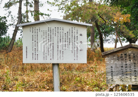 天橋立神社（橋立明神）磯清水（京都府宮津市） 125606535