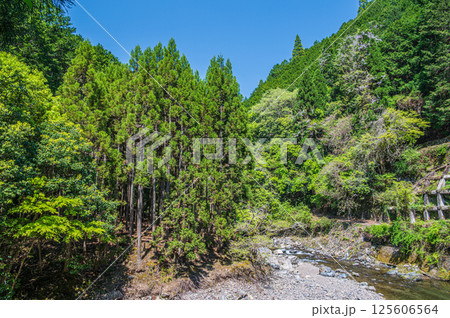 京都の清流　清滝川　京都市右京区 125606564