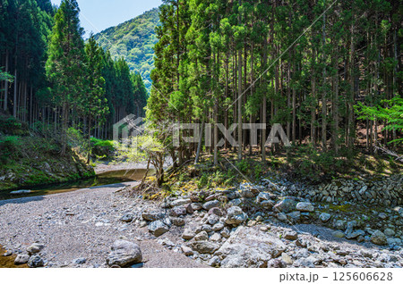 京都の清流 清滝川 京都市右京区 京都の清流 清滝川 京都市右京区 125606628