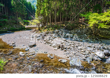 京都の清流　清滝川　京都市右京区 125606629