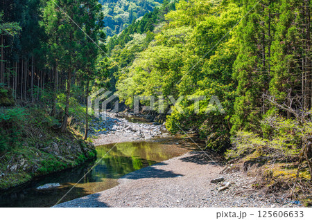 京都の清流　清滝川　京都市右京区 125606633