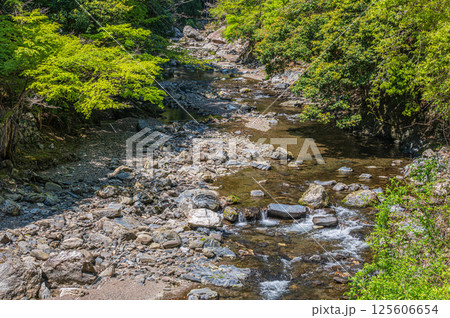 京都の清流 清滝川 京都市右京区 京都の清流 清滝川 京都市右京区 125606654