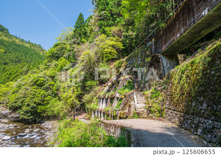 清滝川沿いのハイキングコース　京都市右京区 125606655