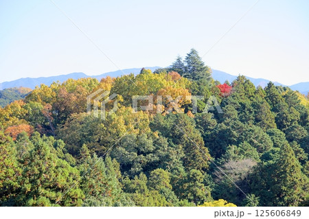 色づく 郊外の里山 色づく 郊外の里山 125606849