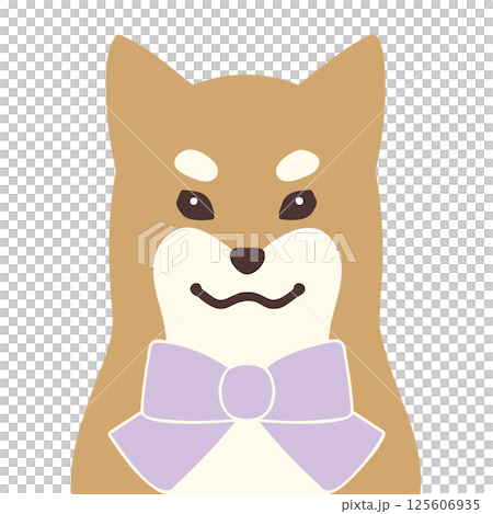 かわいい柴犬のイラスト・パープル背景あり かわいい柴犬のイラスト・パープル背景あり 125606935