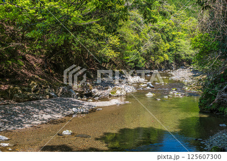 京都の清流 清滝川 京都市右京区 京都の清流 清滝川 京都市右京区 125607300
