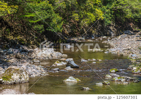 京都の清流 清滝川 京都市右京区 京都の清流 清滝川 京都市右京区 125607301