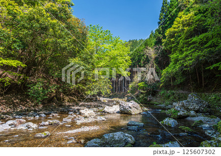 京都の清流　清滝川　京都市右京区 125607302