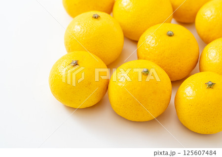 白背景に爽やかな湘南ゴールド 125607484
