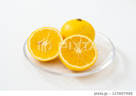 白背景に爽やかな湘南ゴールド 125607488