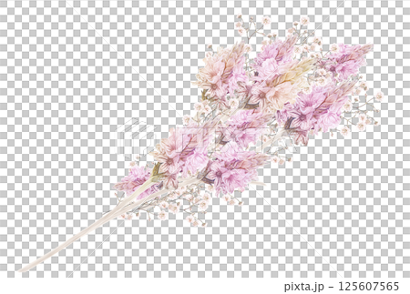 一束淡紫色蕾絲薰衣草作為插圖 125607565