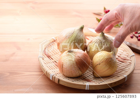 笊に盛った新玉ねぎ 笊に盛った新玉ねぎ 125607893