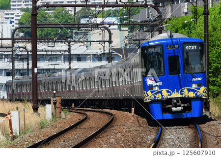京王9000系　9731F　サンリオラッピング3代目　 125607910