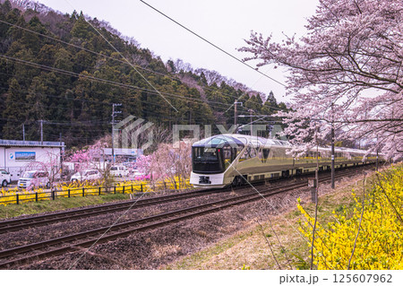 【宮城県_白石川堤一目千本桜】桜並木道と四季島 【宮城県_白石川堤一目千本桜】桜並木道と四季島 125607962