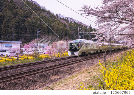 【宮城県_白石川堤一目千本桜】桜並木道と四季島 125607963