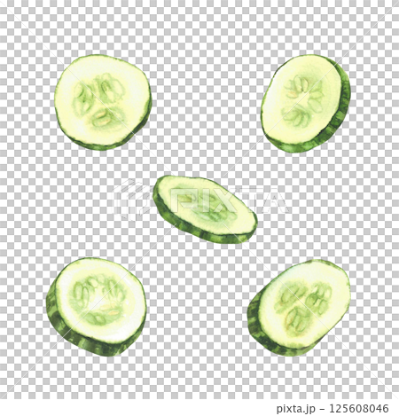 Cucumber slices set. Fresh vegetable cut sliced cucumber circles with seeds. Watercolor realistic hand drawn illustration. Clipart for food, nature cosmetic label, packaging. Isolated from background 125608046