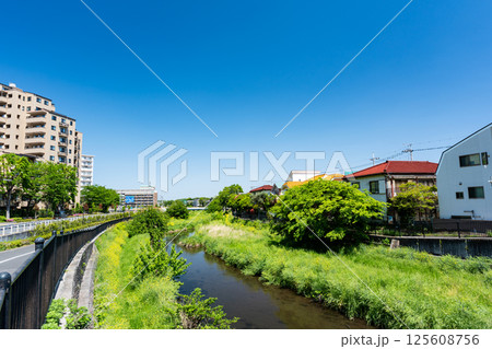 野川の風景　大町橋の上から　京王線国領駅近く　春の青空　東京都調布市国領町 125608756