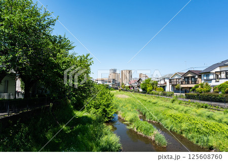 野川の風景　野川橋から撮影　春の青空　東京都調布市国領町 125608760