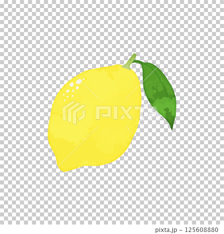 レモンのイラスト_単体_水彩風 レモンのイラスト_単体_水彩風 125608880