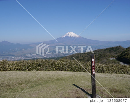 富士見ヶ丘公園(箱根スカイライン)から見える富士山 富士見ヶ丘公園(箱根スカイライン)から見える富士山 125608977