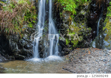 京都の清流　清滝川にそそぐ小さな滝　京都市右京区 125609249